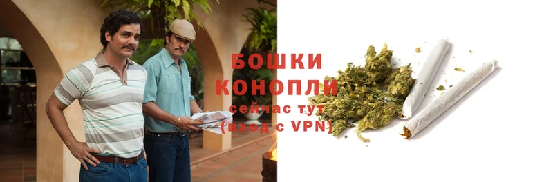 Шишки марихуана OG Kush  Богородицк 